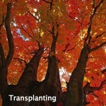 Transplanting