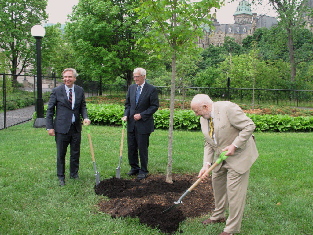 Ken Jewett, founder of Maple Leaves Forever, Mark Kristmanson, CEO of the National Capital Commission, and Russell Mills, chairman of the NCC, plant a Canadian maple at an Ottawa event in 2015. Dr. Mark Kristmanson CEO-NCC, Russell Mills, Ken Jewett