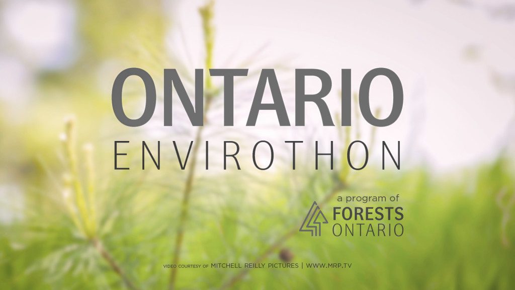 Forests-Ontario-1024x576