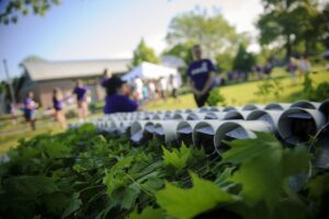 Saplings - Withrow, Ontario