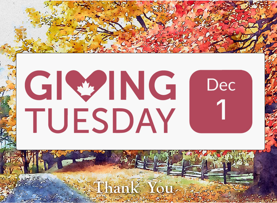 Join us for GIVING TUESDAY, December 1st, 2026